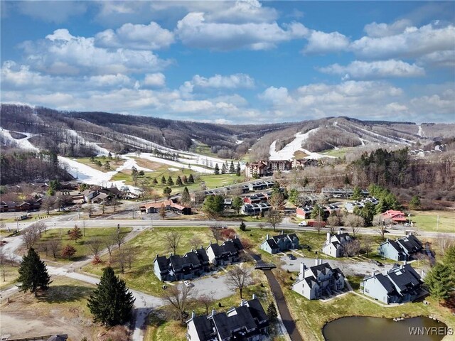 197 Wildflower, Ellicottville, NY 14731 - photo 30