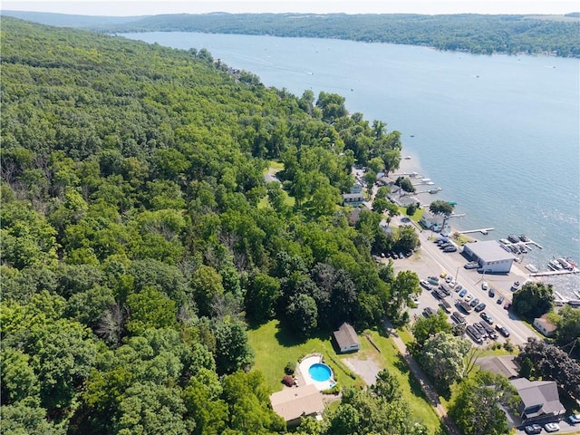 5343 Cedarwood Ln, Conesus, NY 14435 - bird's eye view of a heavily wooded area and a nearby body of water