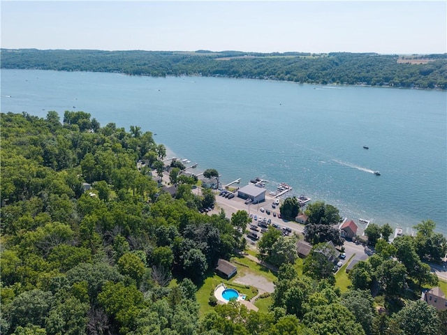 5343 Cedarwood Ln, Conesus, NY 14435 - aerial view of a large body of water and a forest