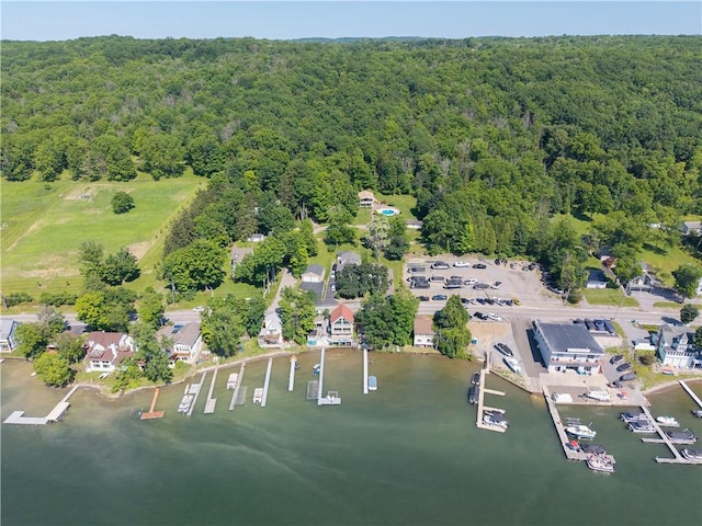 5343 Cedarwood Ln, Conesus, NY 14435 - view of property location featuring a forest and a large body of water