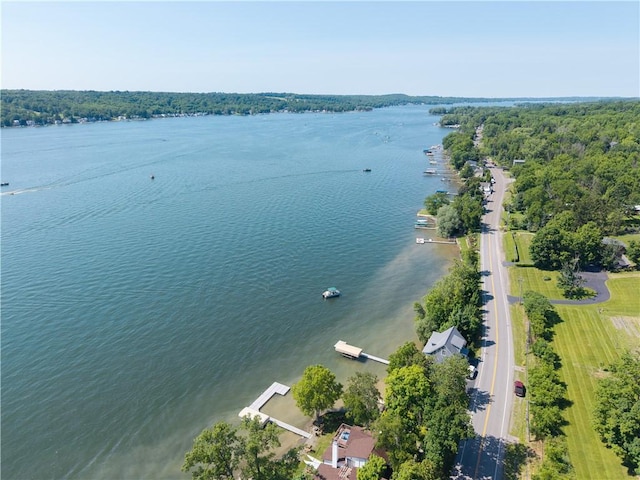 5343 Cedarwood Ln, Conesus, NY 14435 - drone / aerial view of a large body of water