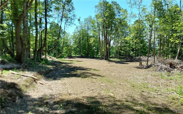 1273 Newport Gray Rd, Norway, NY 13416 - photo 1
