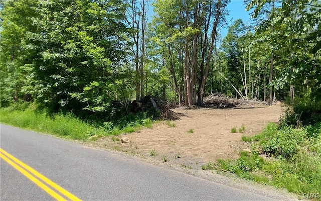 1273 Newport Gray Rd, Norway, NY 13416 - photo 2