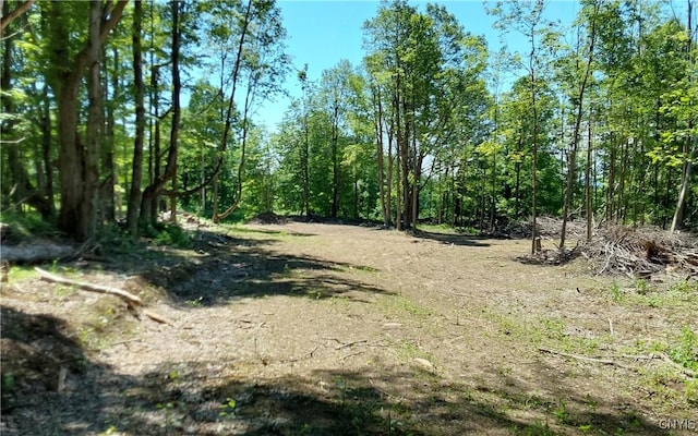 1273 Newport Gray Rd, Norway, NY 13416 - photo 3