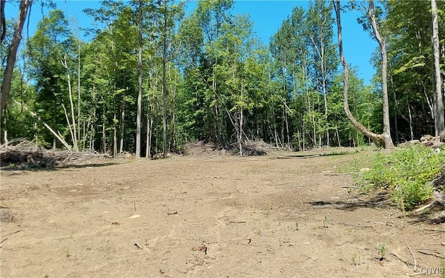1273 Newport Gray Rd, Norway, NY 13416 - photo 6