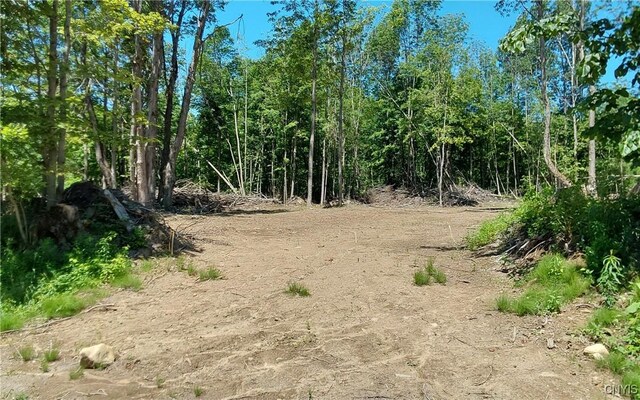 1273 Newport Gray Rd, Norway, NY 13416 - photo 7