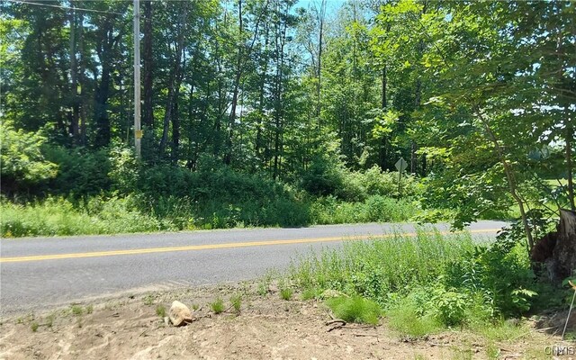 1273 Newport Gray Rd, Norway, NY 13416 - photo 8