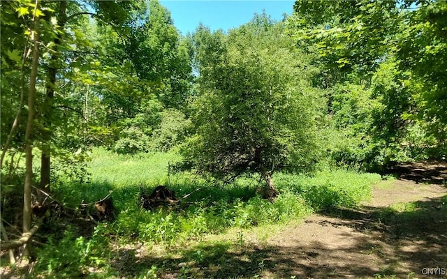 1273 Newport Gray Rd, Norway, NY 13416 - photo 11
