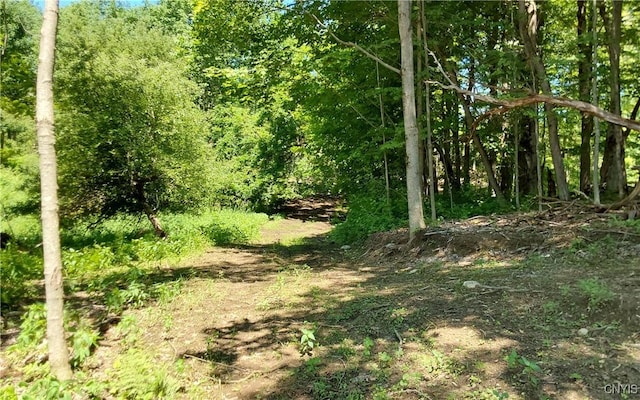1273 Newport Gray Rd, Norway, NY 13416 - photo 12