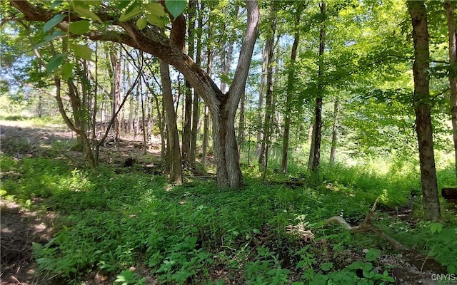 1273 Newport Gray Rd, Norway, NY 13416 - photo 13