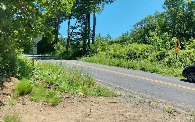 1273 Newport Gray Rd, Norway, NY 13416 - photo 15
