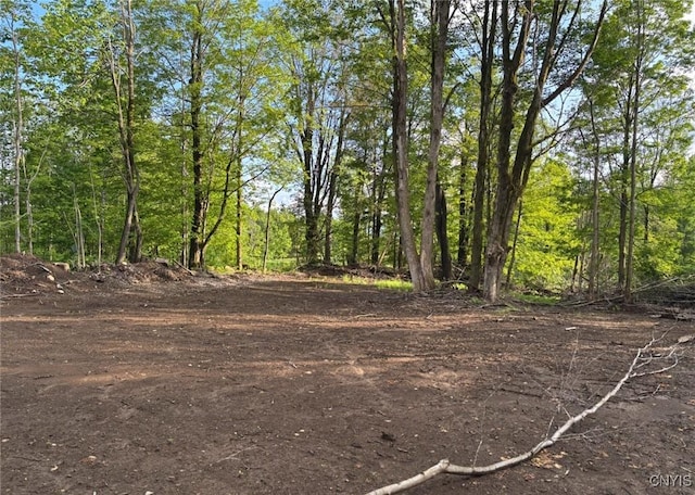1273 Newport Gray Rd, Norway, NY 13416 - photo 16