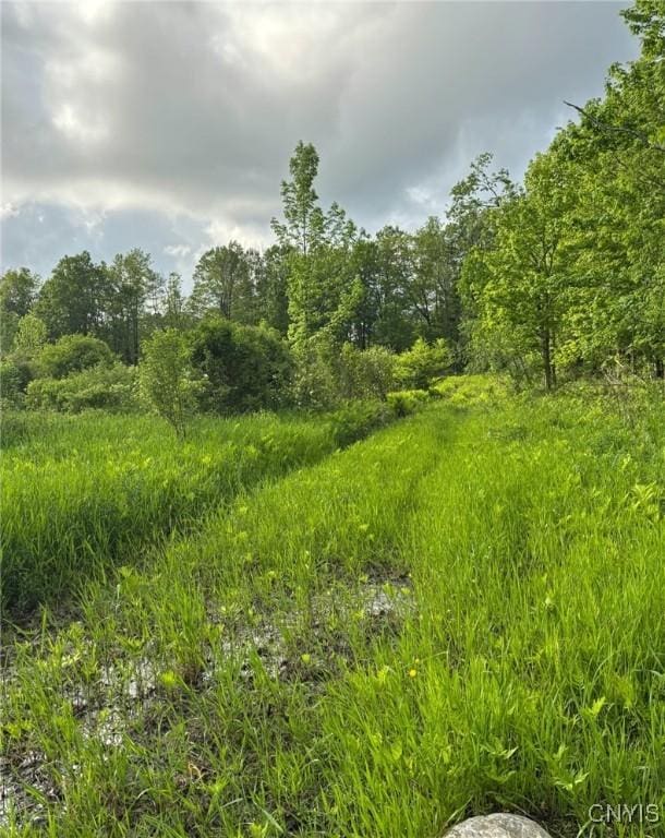 1273 Newport Gray Rd, Norway, NY 13416 - photo 25