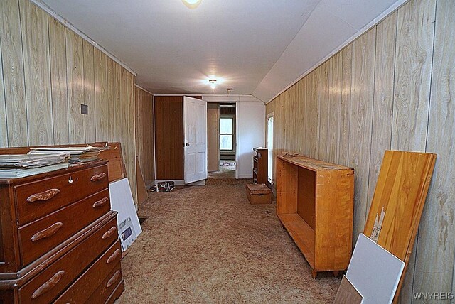 57 Christiana St, North Tonawanda, NY 14120 - hallway featuring wood walls and carpet floors