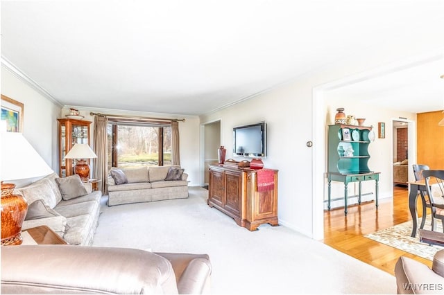 288 W Maplemere Rd, Amherst, NY 14221 - living area featuring ornamental molding and light colored carpet