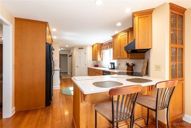 288 W Maplemere Rd, Amherst, NY 14221 - kitchen featuring under cabinet range hood, light wood finished floors, a peninsula, light countertops, and recessed lighting