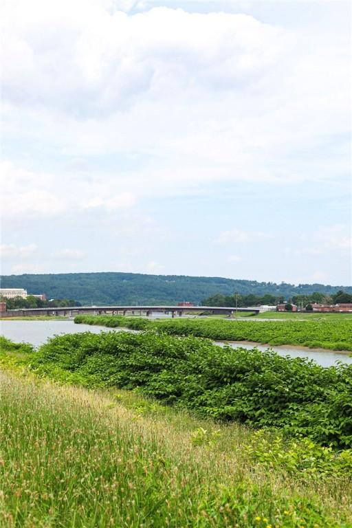 459 W Water St, Elmira City, NY 14905 - water view