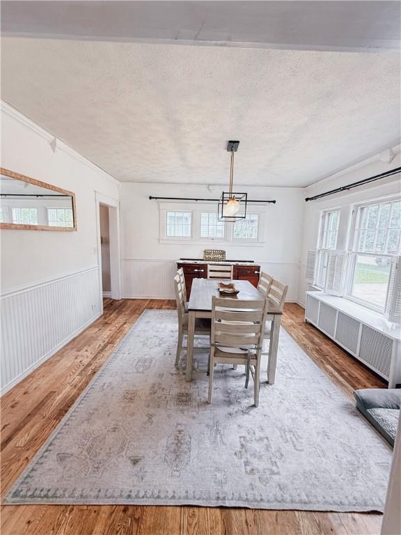 459 W Water St, Elmira City, NY 14905 - dining area with a chandelier, wood finished floors, a textured ceiling, plenty of natural light, and wainscoting