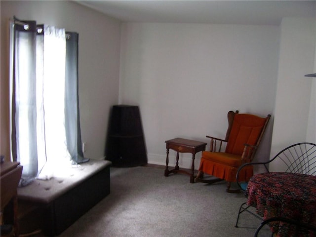 30 Mitchell St, Norwich, NY 13815 - sitting room with carpet