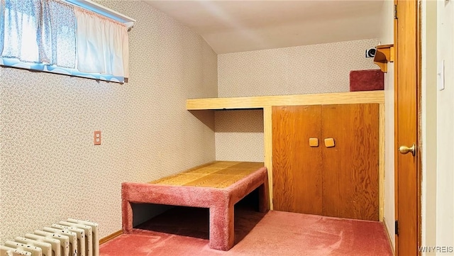 350 S 2nd St, Lewiston, NY 14092 - mudroom featuring radiator, wallpapered walls, carpet flooring, and vaulted ceiling