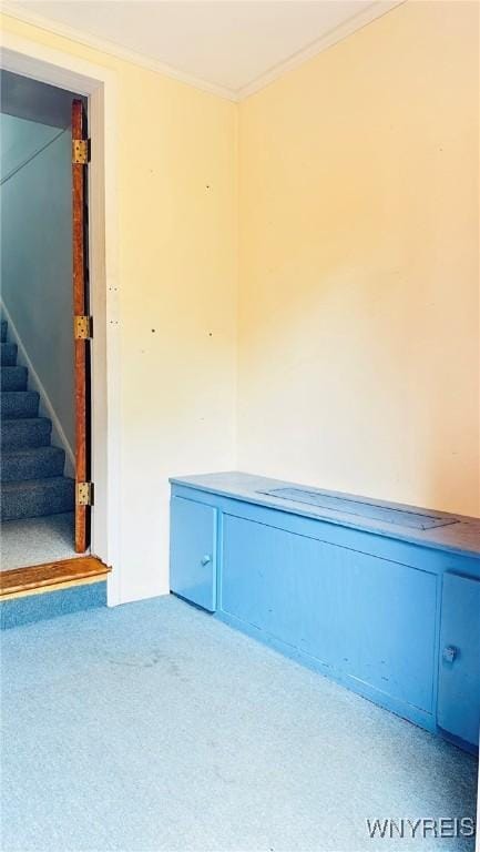 350 S 2nd St, Lewiston, NY 14092 - spare room featuring crown molding, stairway, and carpet flooring