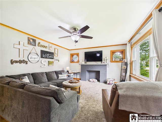 709 Main St, Olean, NY 14760 - carpeted living room with ornamental molding, ceiling fan, and a fireplace