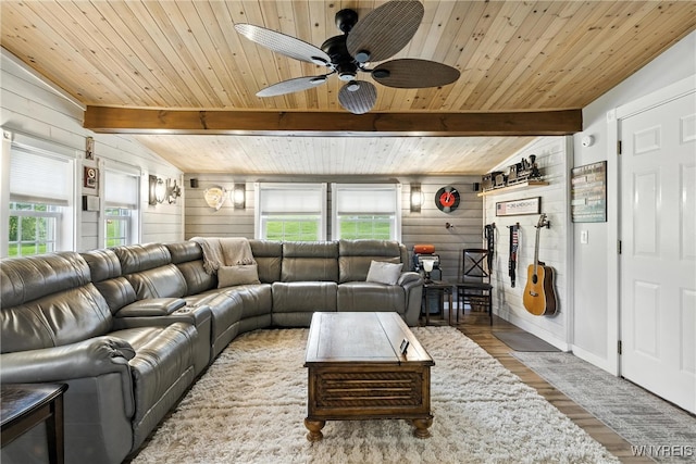 11583 Gowanda State Rd, North Collins, NY 14111 - living room with plenty of natural light, wooden ceiling, a ceiling fan, wood finished floors, and wooden walls