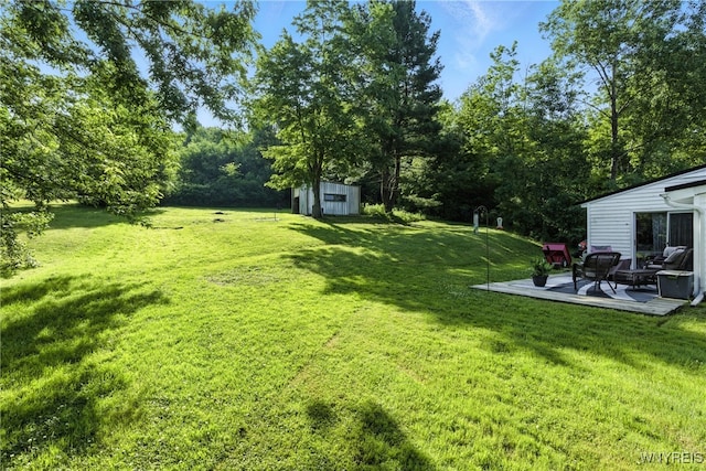 11583 Gowanda State Rd, North Collins, NY 14111 - view of green lawn with a storage unit and a patio