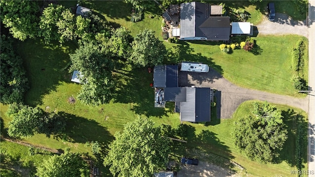 11583 Gowanda State Rd, North Collins, NY 14111 - aerial view of property's location