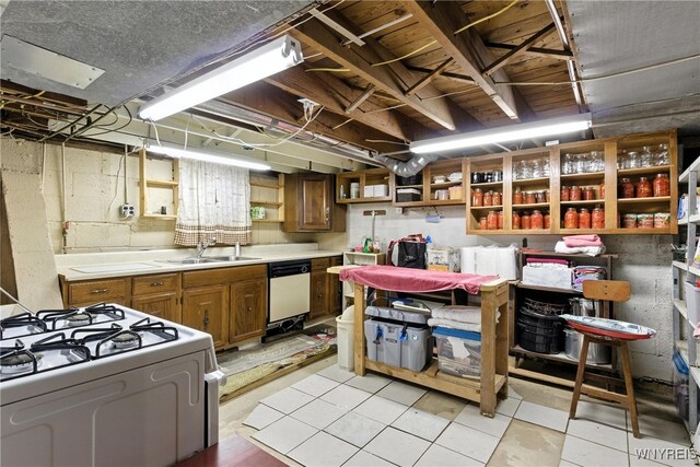 11583 Gowanda State Rd, North Collins, NY 14111 - unfinished below grade area with a sink