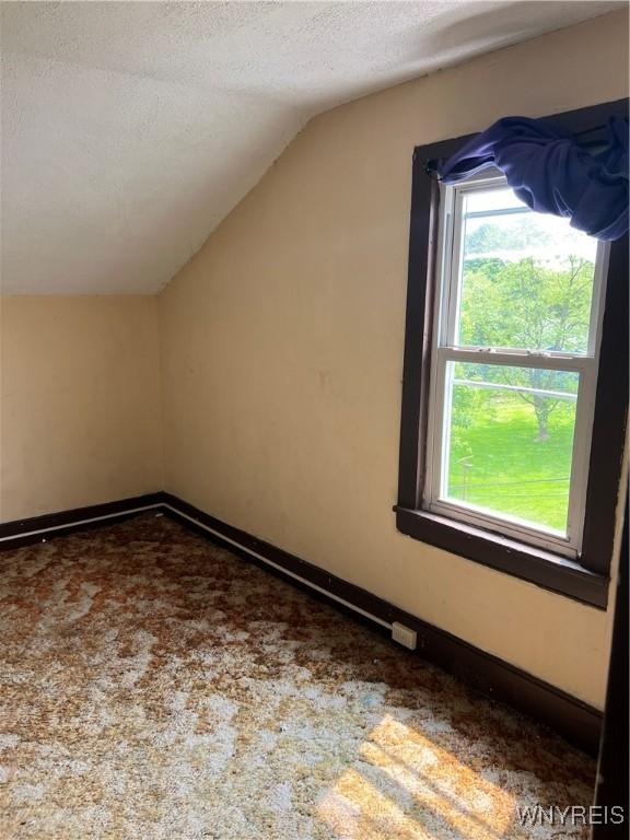 4535 Holley Byron Rd, Clarendon, NY 14470 - additional living space featuring vaulted ceiling, carpet flooring, and a textured ceiling