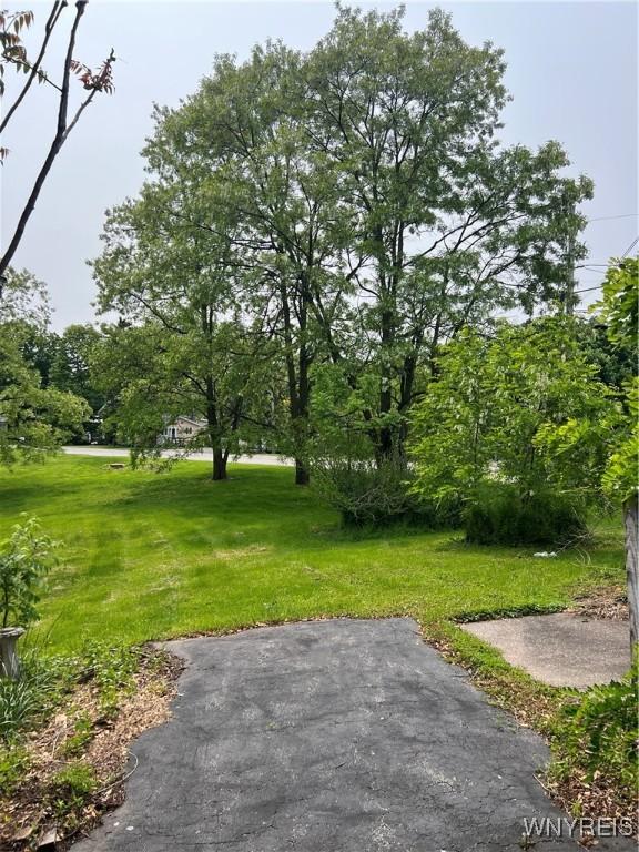 4535 Holley Byron Rd, Clarendon, NY 14470 - view of green lawn with a patio