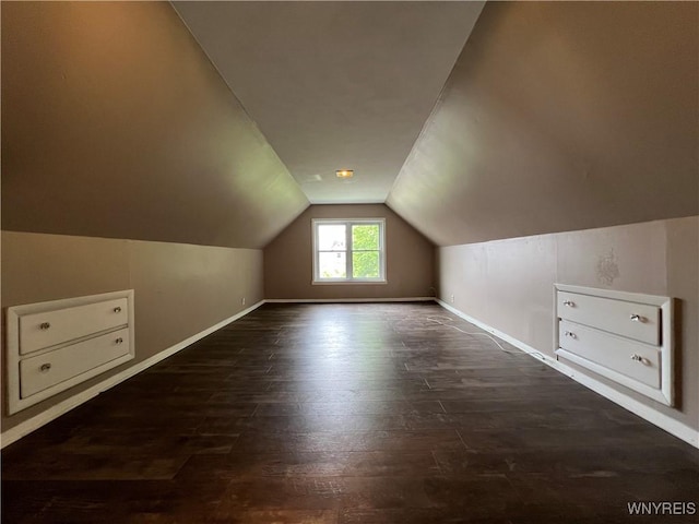 288 Abbott Rd, Buffalo, NY 14220 - bonus room featuring dark wood finished floors and lofted ceiling
