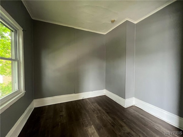 288 Abbott Rd, Buffalo, NY 14220 - empty room with ornamental molding and dark wood-type flooring