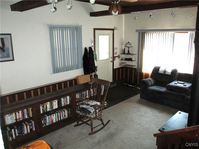 119 Century Dr, Geddes, NY 13209 - photo 6