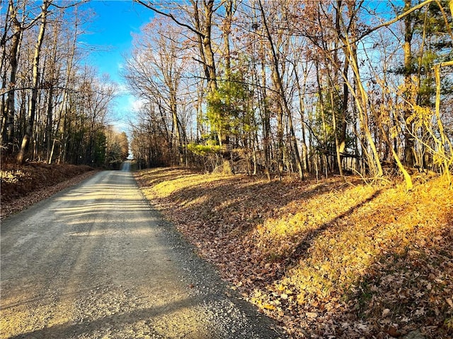Oak Hill Rd, Baldwin, NY 14861