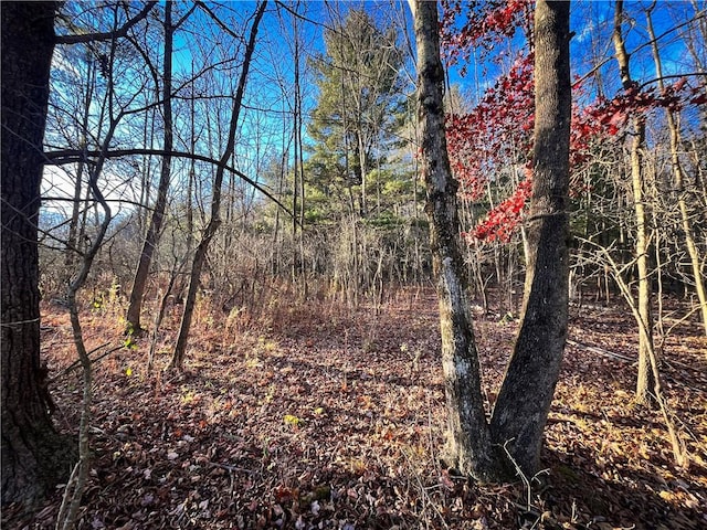 Oak Hill Rd, Baldwin, NY 14861