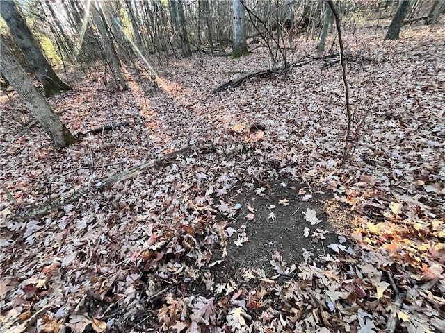 Oak Hill Rd, Baldwin, NY 14861