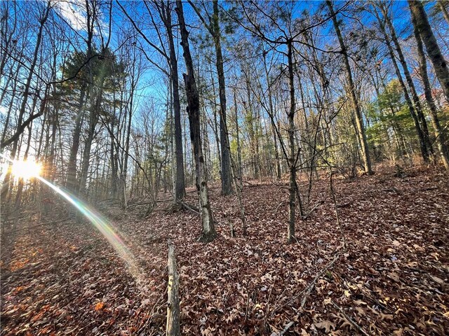 Oak Hill Rd, Baldwin, NY 14861