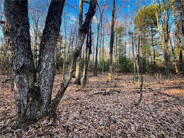 Oak Hill Rd, Baldwin, NY 14861