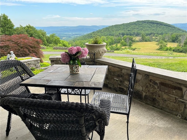 275 Neason Rd, Chemung, NY 14825 - photo 8
