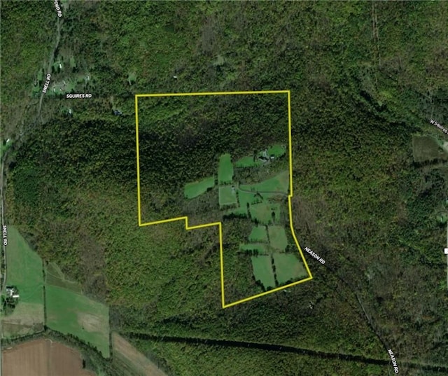 275 Neason Rd, Chemung, NY 14825 - photo 48