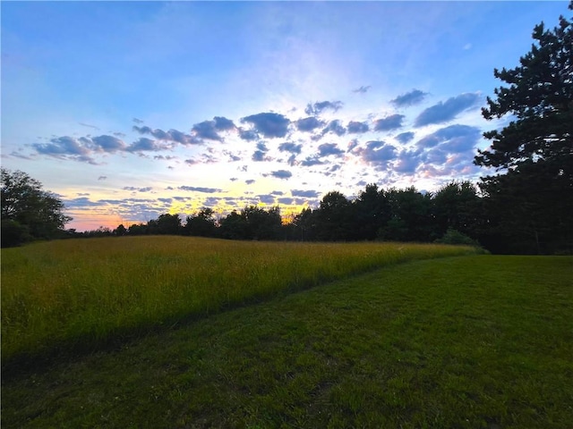 275 Neason Rd, Chemung, NY 14825 - photo 47