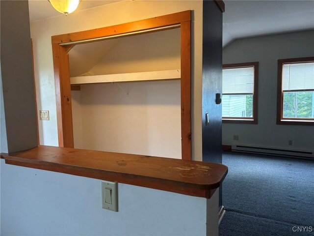 1046 Ammon Rd, Lewis, NY 13489 - detailed view of a baseboard radiator and carpet floors