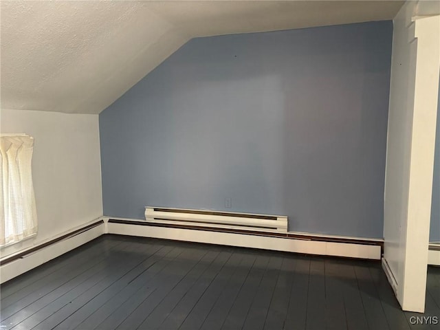 1046 Ammon Rd, Lewis, NY 13489 - additional living space with vaulted ceiling and hardwood / wood-style flooring