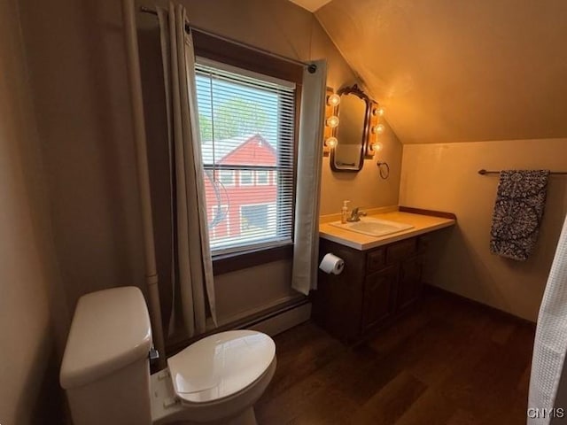 1046 Ammon Rd, Lewis, NY 13489 - bathroom with vaulted ceiling, wood finished floors, and vanity