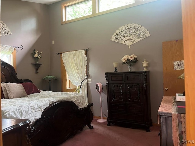 4342 Norton Rd, Onondaga, NY 13215 - photo 28