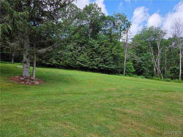 3295 State Park Ave, Salamanca, NY 14779 - photo 13