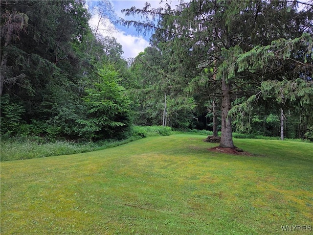 3295 State Park Ave, Salamanca, NY 14779 - photo 14