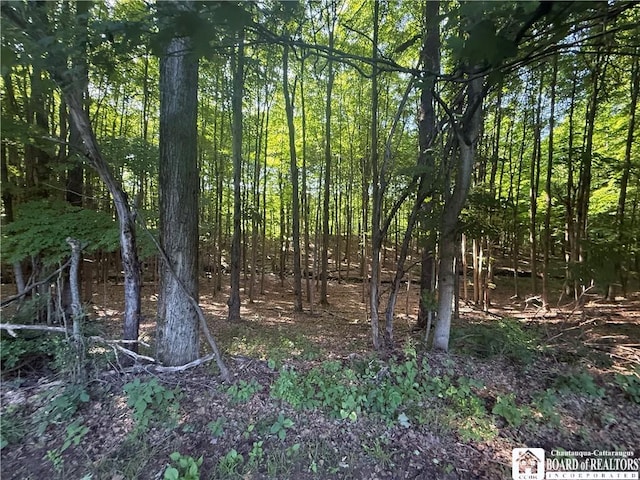 4261 Gerry Levant Rd, Gerry, NY 14740 - photo 2